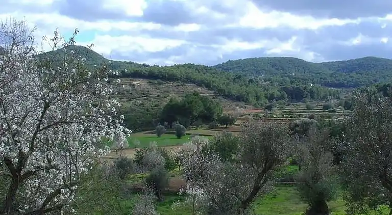 Villa i Sant Josep de sa Talaia