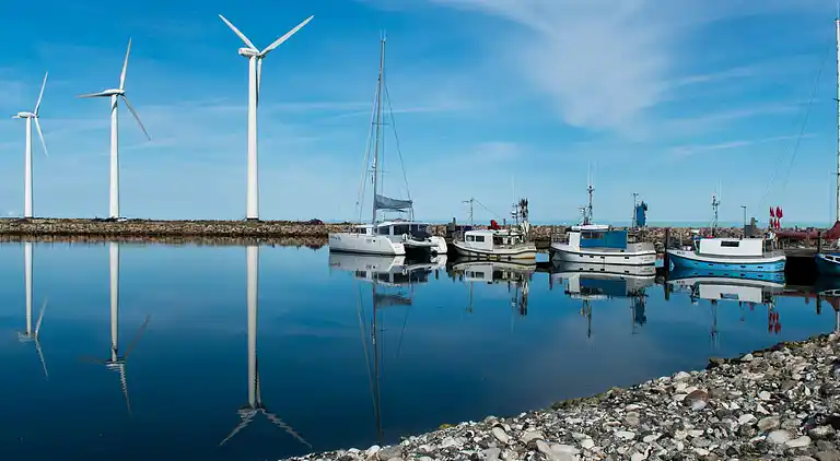 3 room,ground floor or 1.,Premium