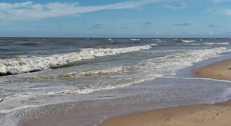 Sommerhus i Zuid-Holland