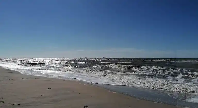 Sommerhus i Zuid-Holland