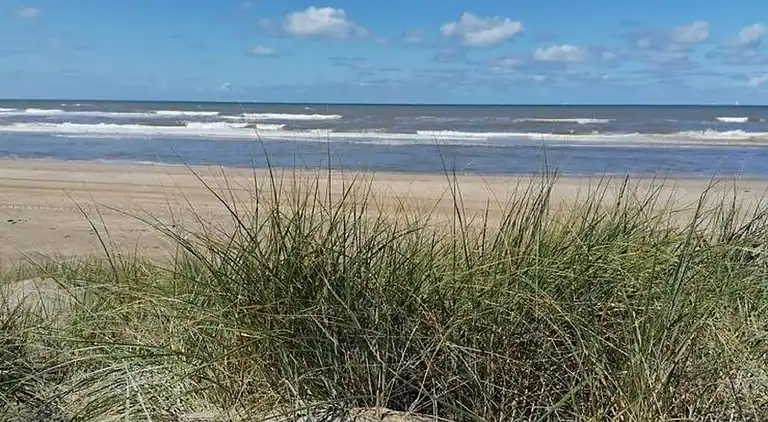 Sommerhus i Zuid-Holland