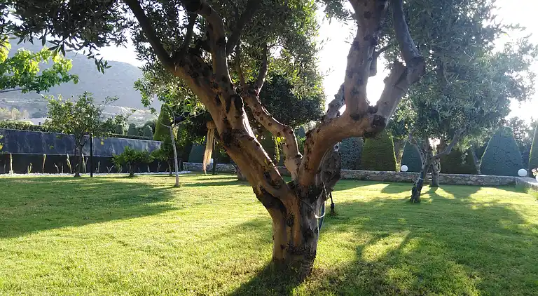 Luxury Villa Golden Crest with private swimming pool