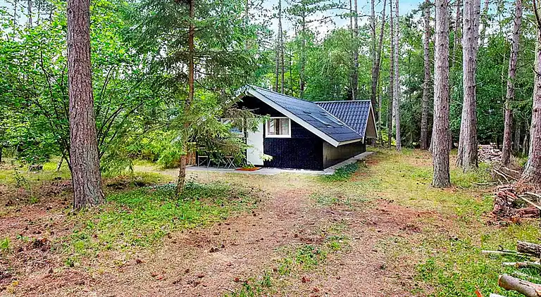 Holiday home in Store Fuglede