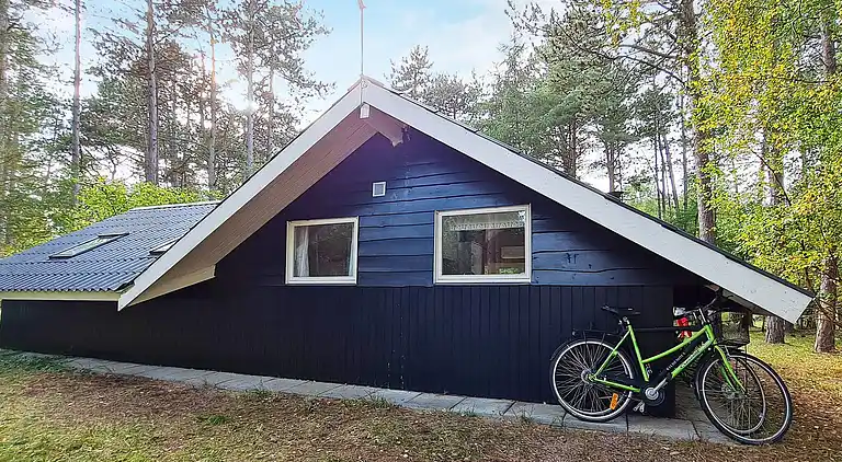 Holiday home in Store Fuglede
