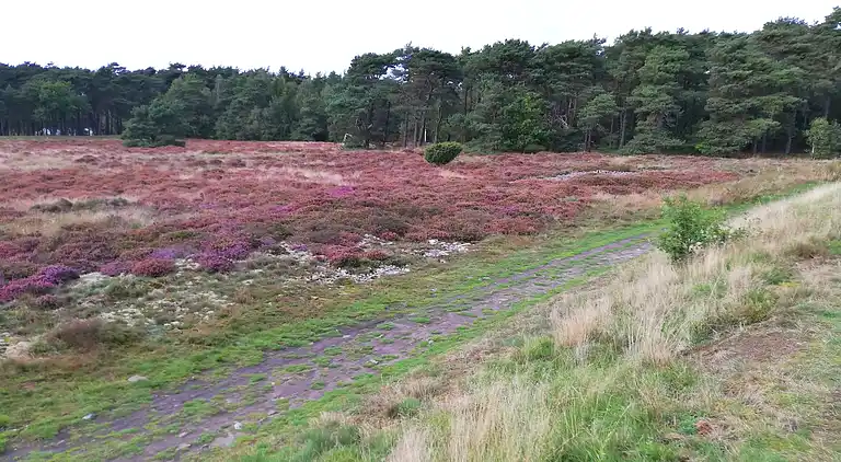 Nydelig feriehus nær strand og natur