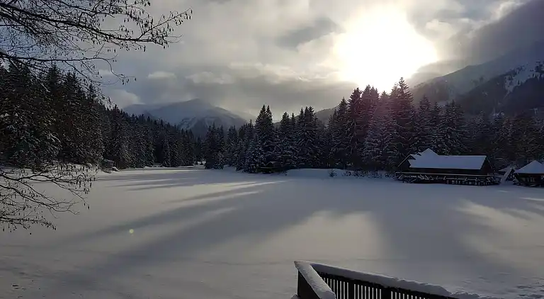 Cottage in Hohentauern