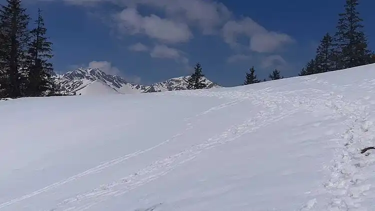 Cottage in Hohentauern