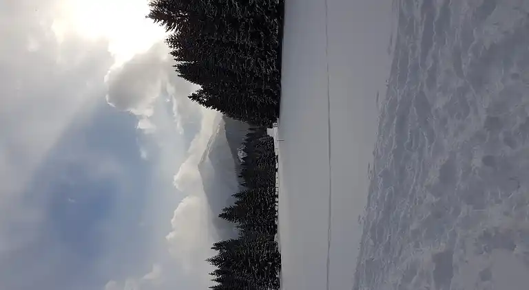 Cottage in Hohentauern