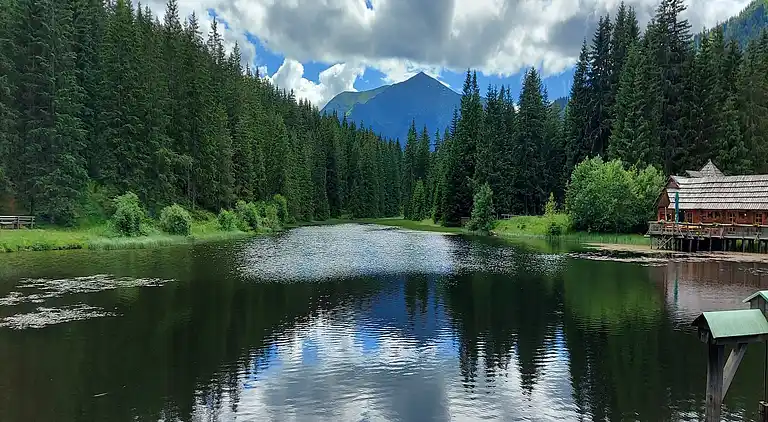 Cottage in Hohentauern
