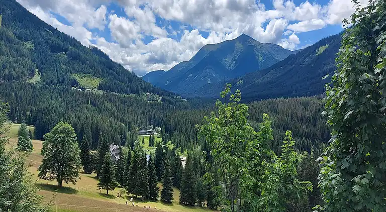Cottage in Hohentauern