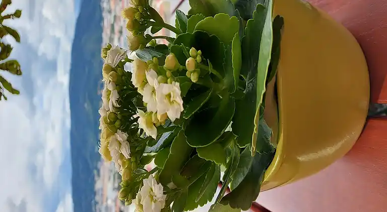 Cottage in Hohentauern