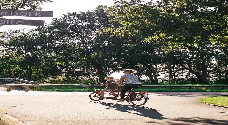Sommerhus i Zwiggelte