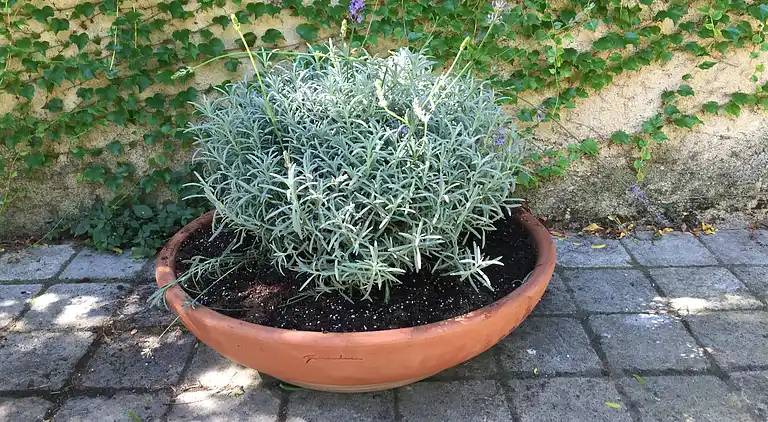 Holiday home in Lignan-sur-Orb