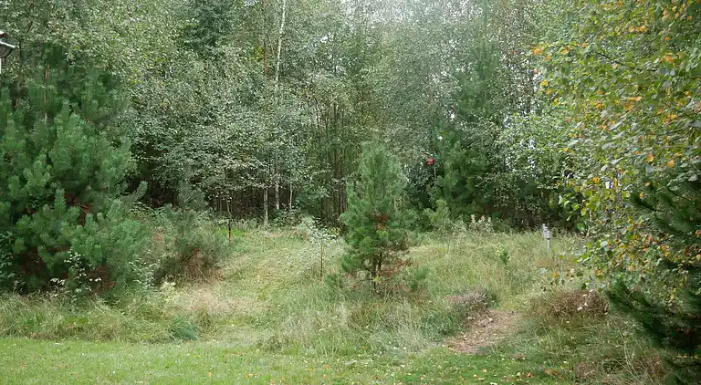 Vakkert tømmerhus ved natur og strand