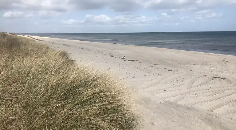 Ruhig gelegenes, gemütliches & kinderfreundliches Sommerhaus