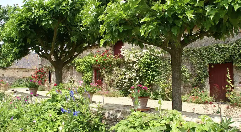 Holiday home in Downtown