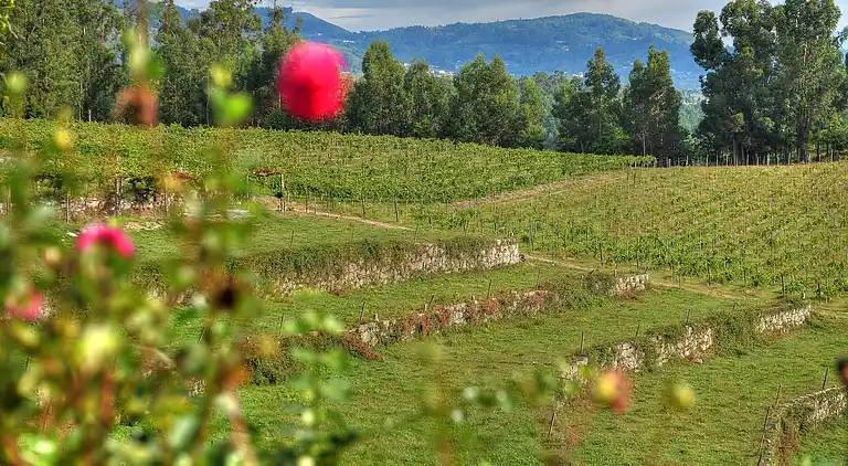 Sommerhus i Santa Cruz do Lima