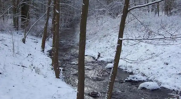 Holiday home in Kappe