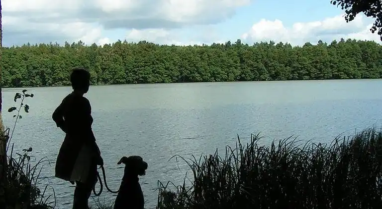 Holiday home in Kappe