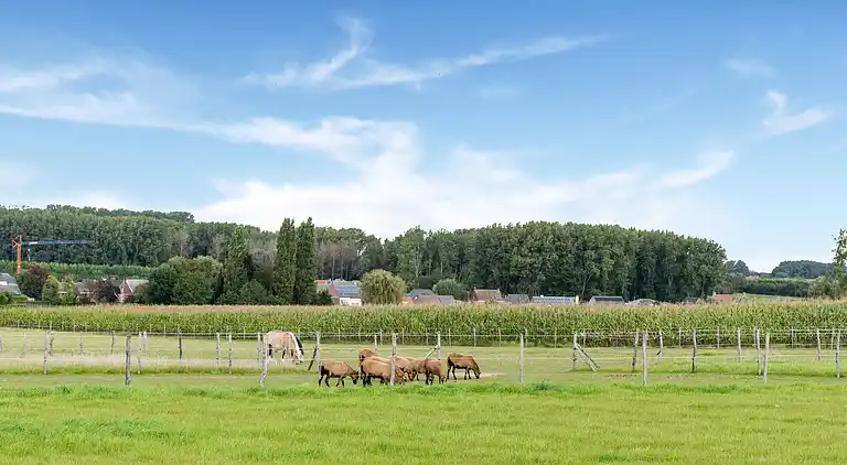 Holiday home in Zottegem