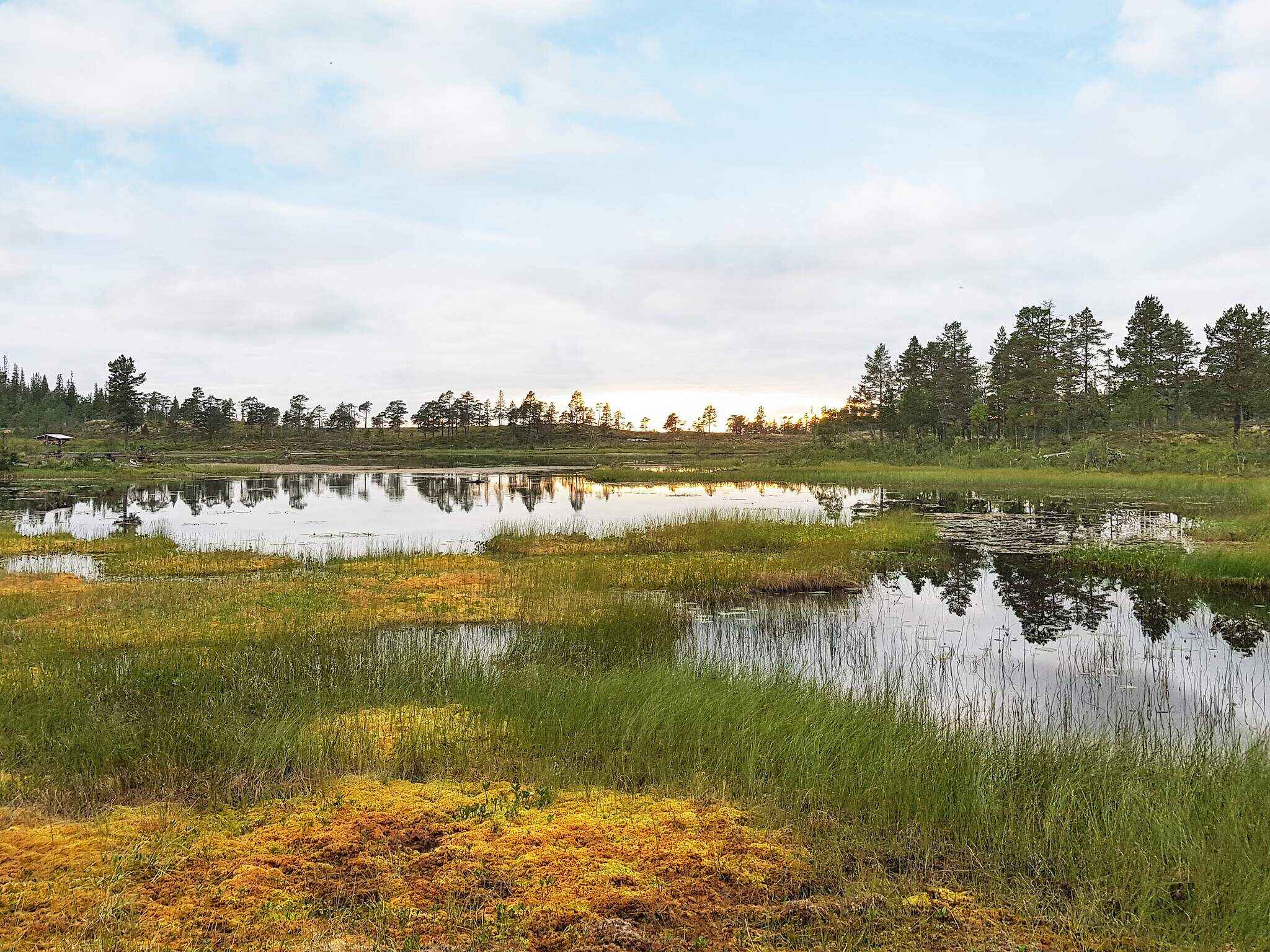 Large Image