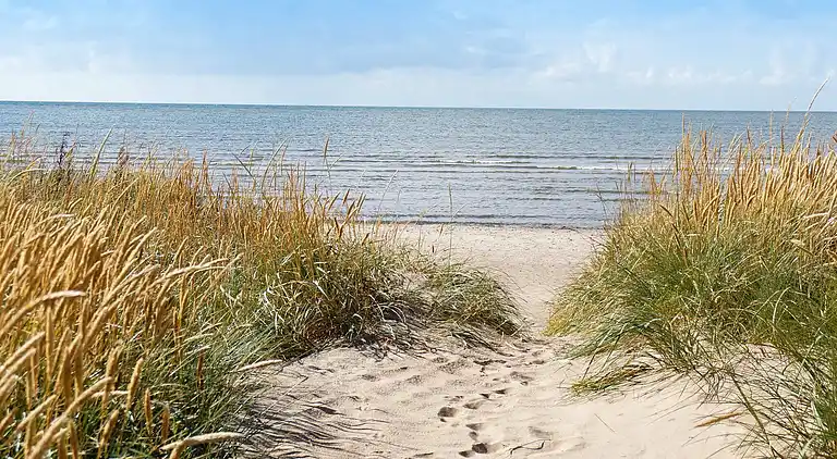 Semesterbostad i Skogstorp-Västra Gärdet-Arvidstorp