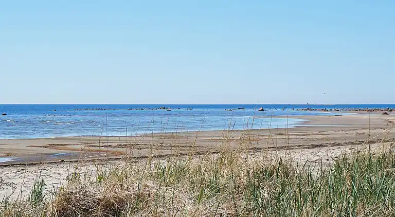 Semesterbostad i Skogstorp-Västra Gärdet-Arvidstorp