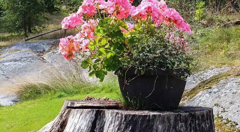 Feriebolig i Tjörn N