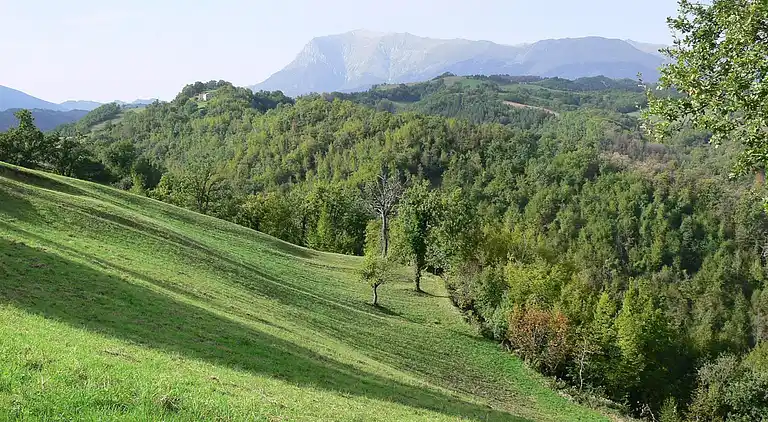 Apartment in Collina