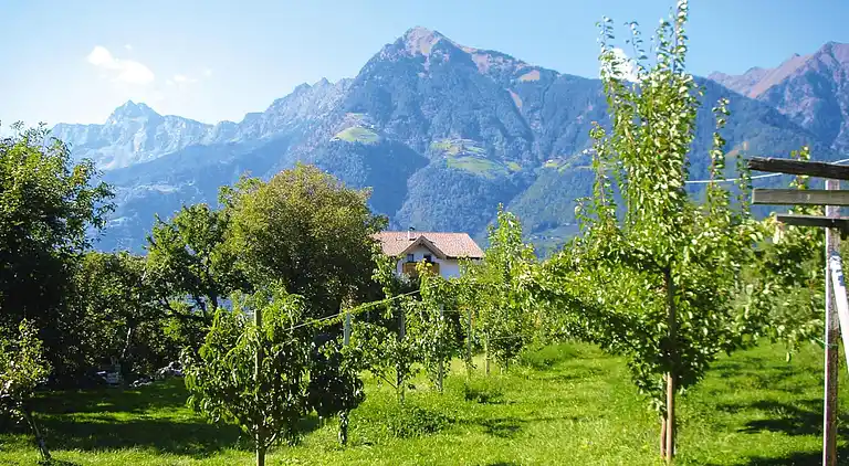 Ferienwohnung in Dorf Tirol