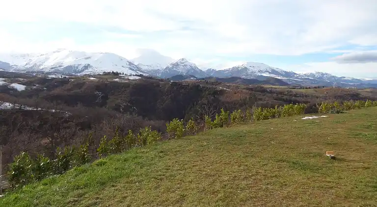 Apartment in Collina