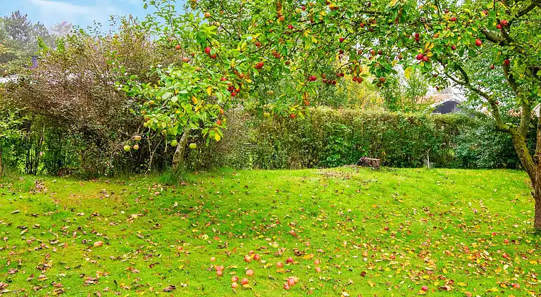 Vakantiehuis in Pøt Strandby