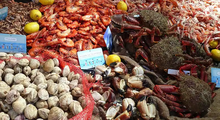 Maison de vacances au Rieux