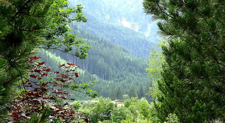 Sommerhus i Unterkrimml