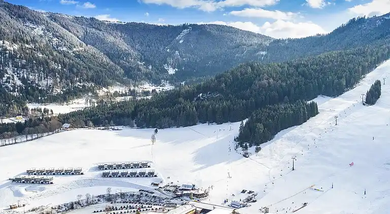 Cottage in Sankt Lambrecht