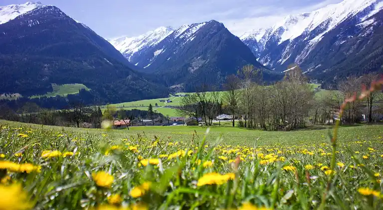 Apartment in Rosental