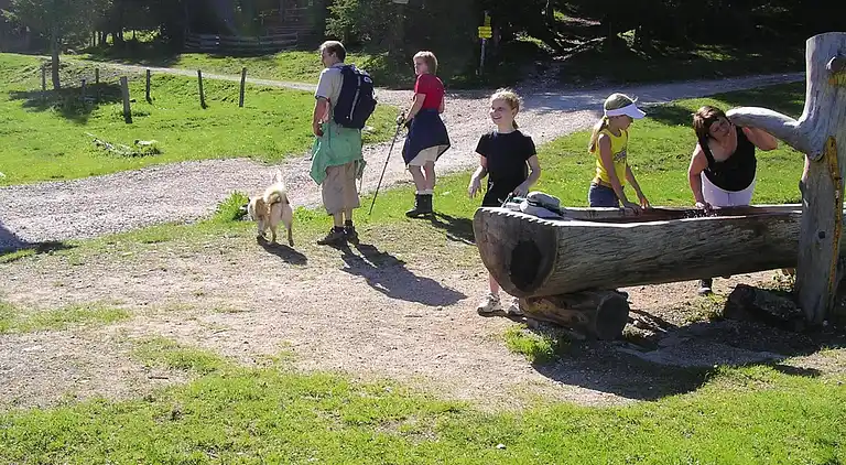 Ferienwohnung in Melchamalm