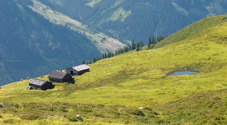 Ferienwohnung in Melchamalm