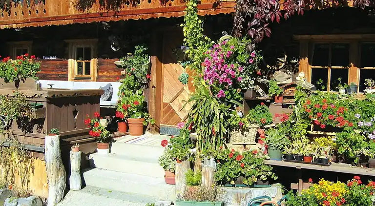 Ferienwohnung in Melchamalm