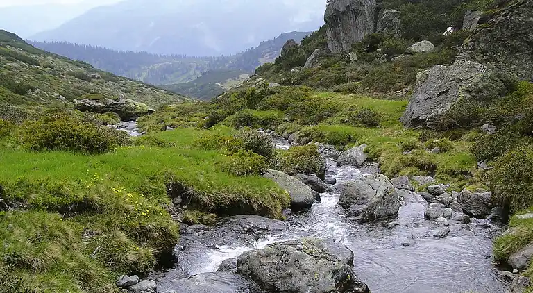 Ferienwohnung in Melchamalm