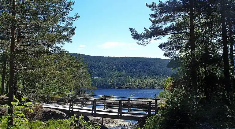 Holiday home in Hægebostad Municipality