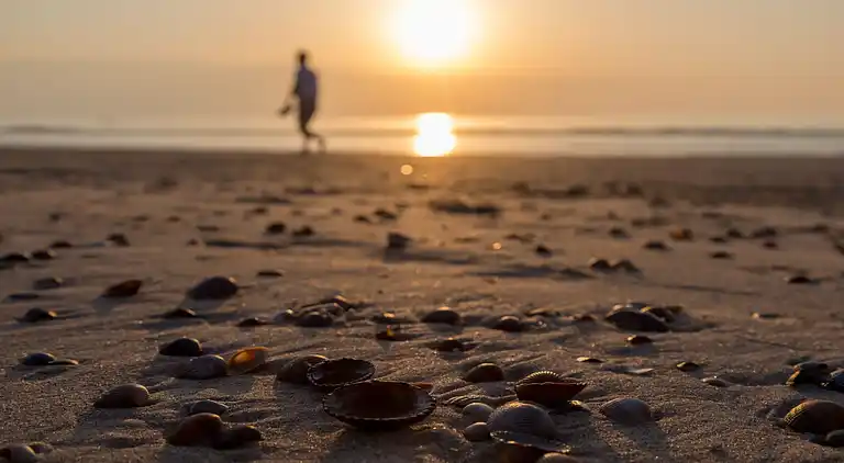 Vakantiehuis in Domburg