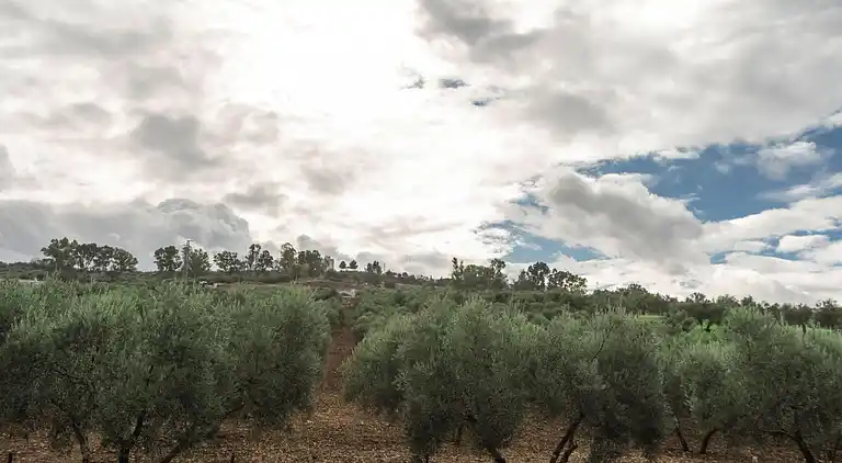 Ferielejlighed i Olvera