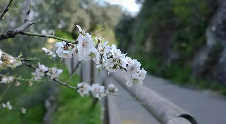 Ferielejlighed i Olvera