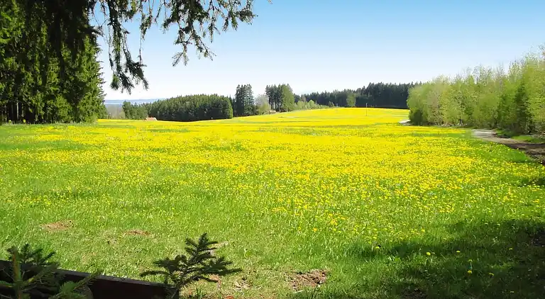 Sommerhus i Blöcktach