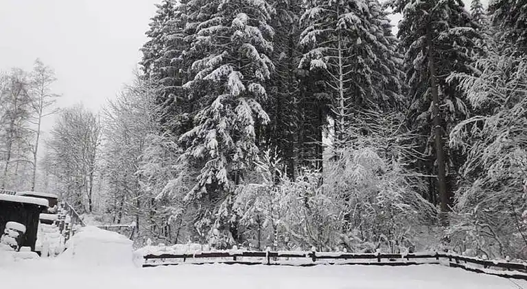 Appartement in Wildemann