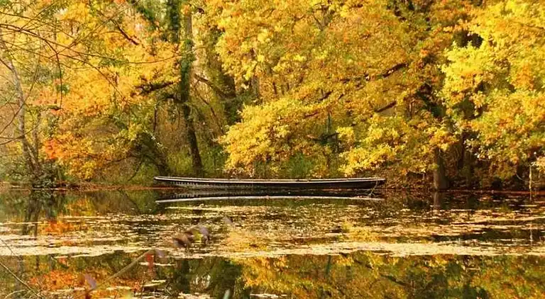 Ferielejlighed i Bischoffingen