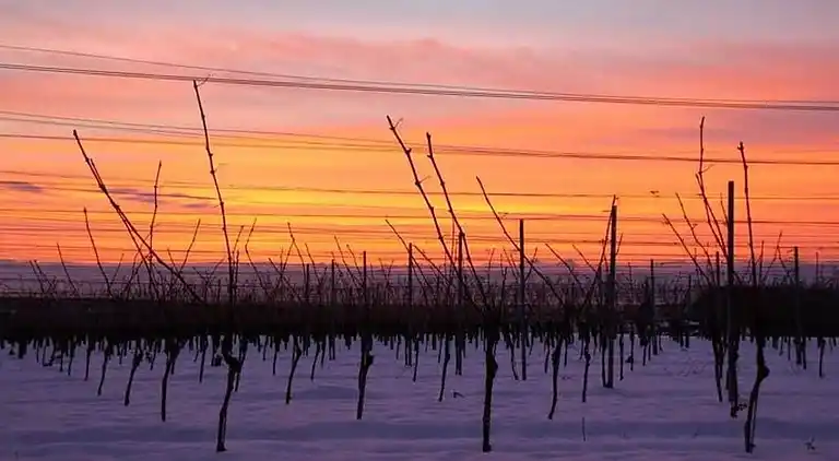 Ferielejlighed i Bischoffingen