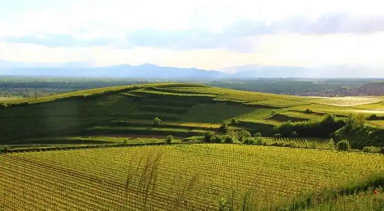 Ferielejlighed i Bischoffingen