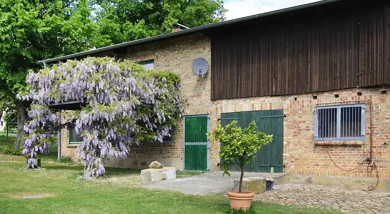 Sommerhus i Müsselmow